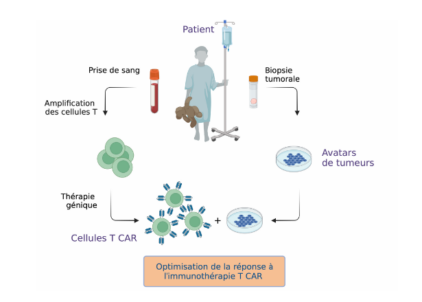 Cancers de l'enfant